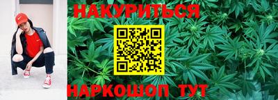 индика Владикавказ
